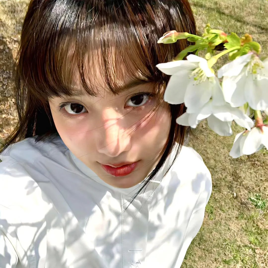 显微镜下的大明之丝绢案